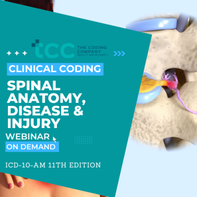 Clinical Coding Spinal Anatomy, Disease and Injury (2)